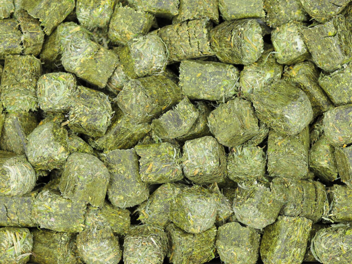 Alfalfa Cubes