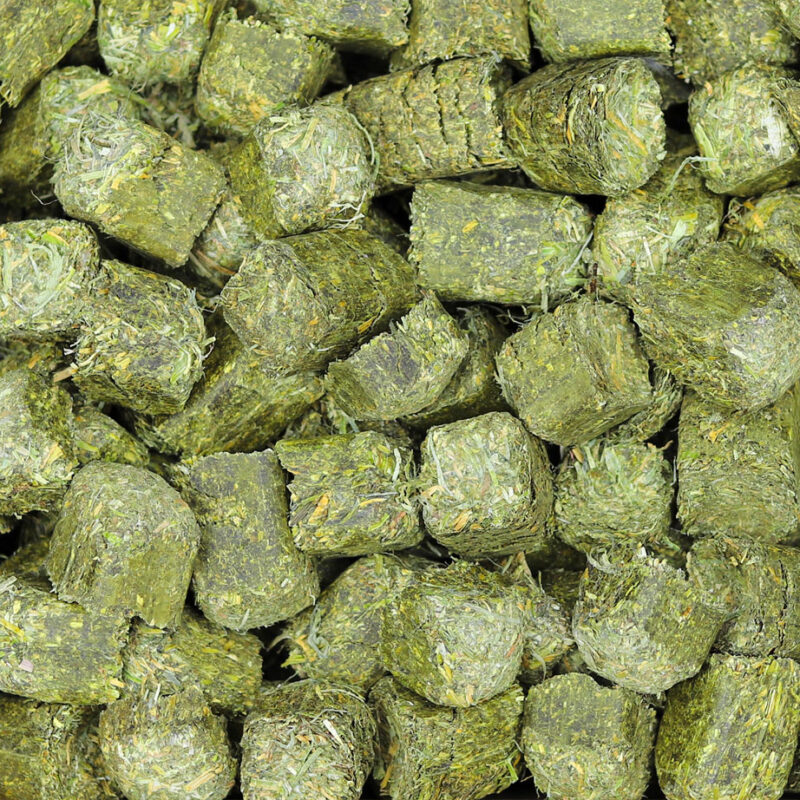 Alfalfa Cubes
