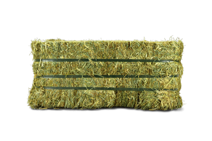 Alfalfa hay. 20kg.