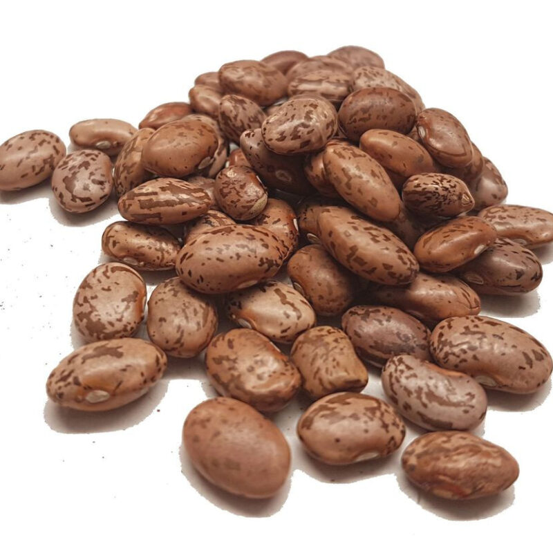 Dried pinto beans
