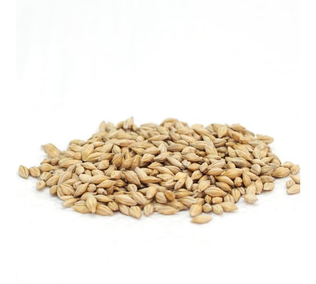 Barley seed