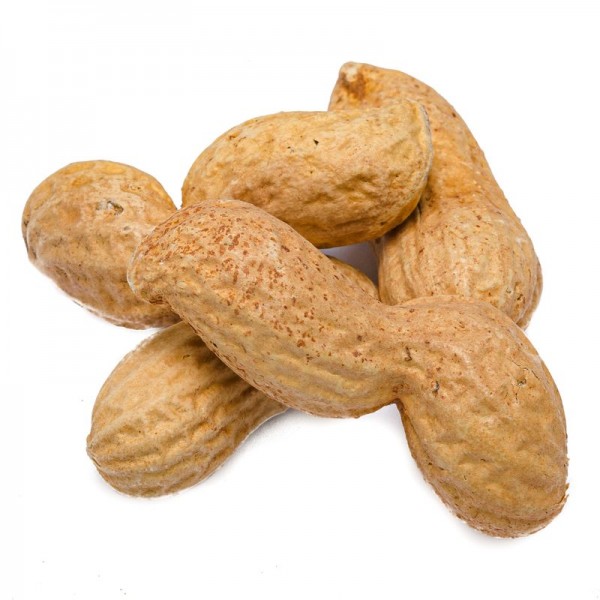 Peanut groundnuts