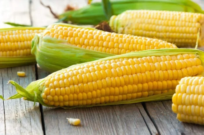 Yellow corn