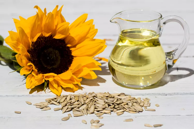 Sunflower oil